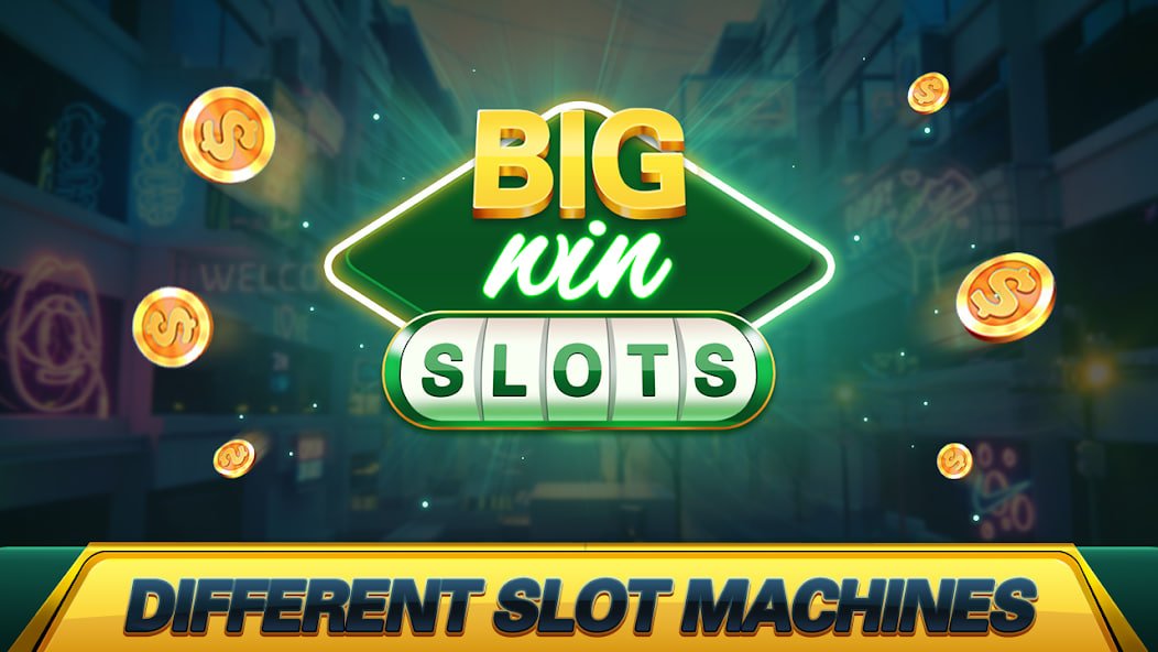 311bet
