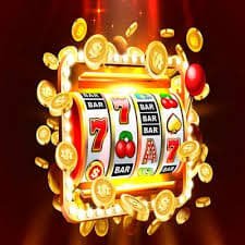 311bet